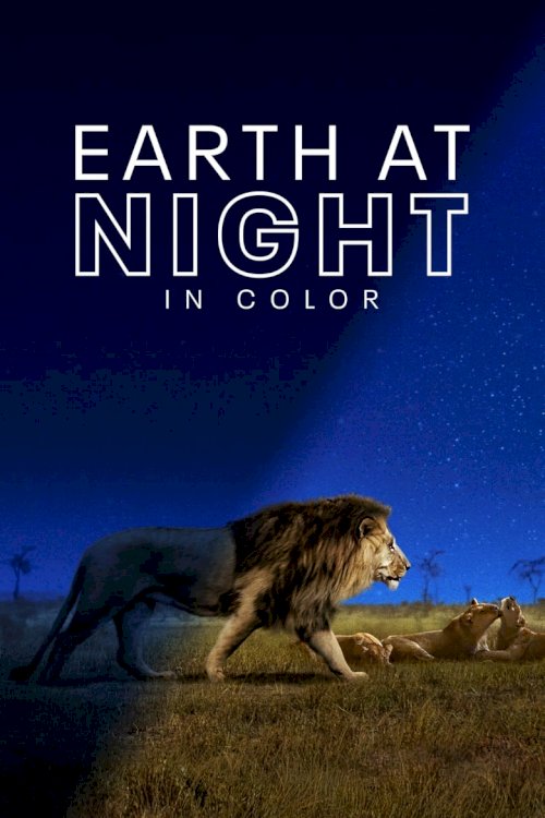 Земля ночью в цвете - постер