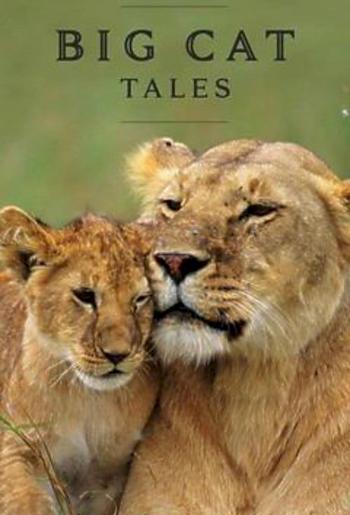 Big Cat Tales - poster