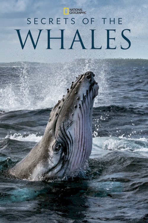 Secrets of the Whales