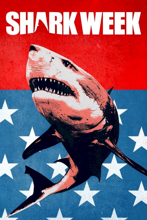 Shark Week - poster