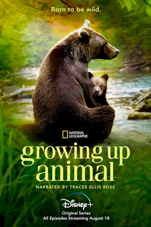 Growing Up Animal - poster