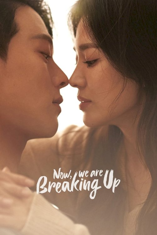 Now, We Are Breaking Up - poster