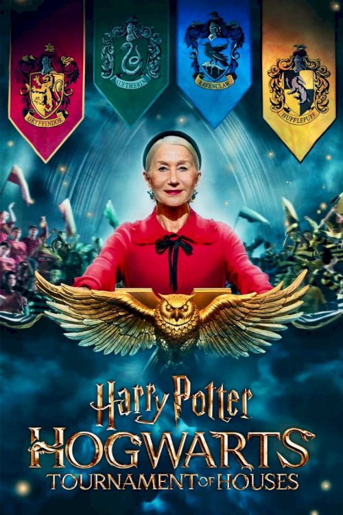 Гарри Поттер: Турнир факультетов Хогвартса - постер