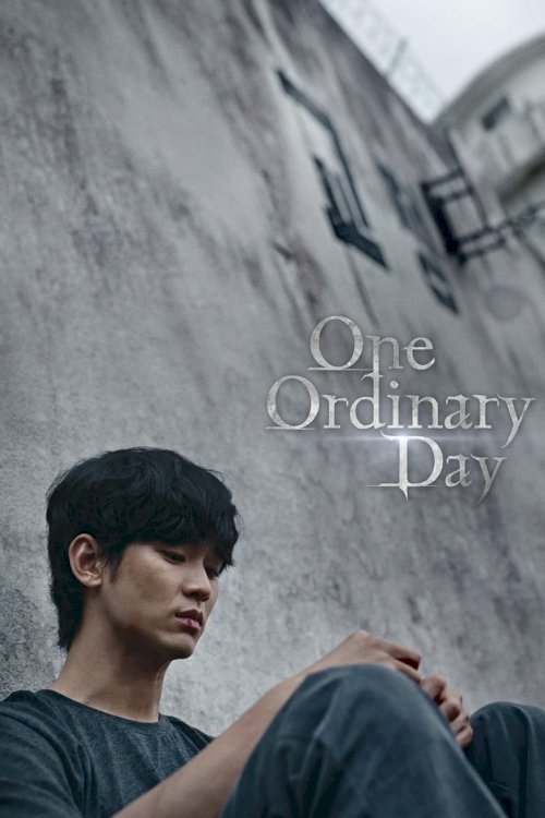 One Ordinary Day - poster