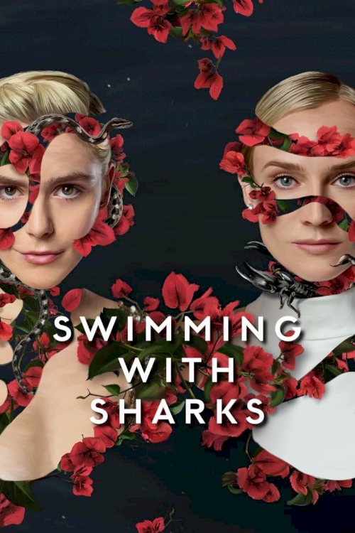 Peldēšana ar haizivīm - posters