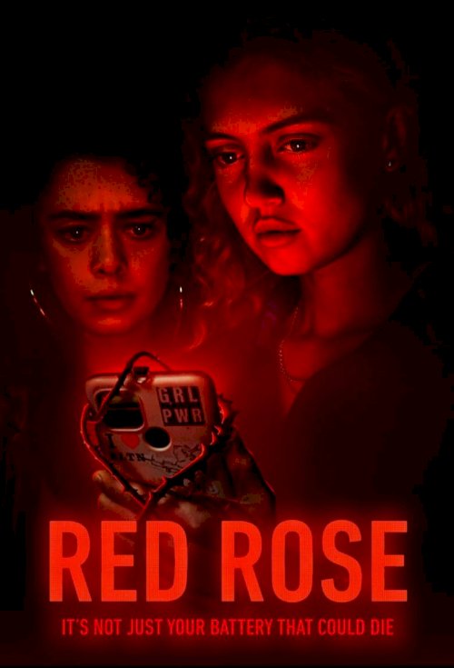 Красная роза - постер