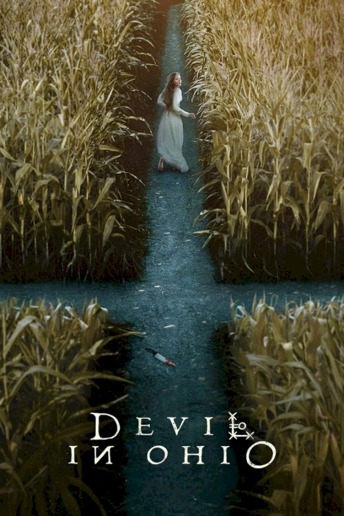 Devil in Ohio - poster