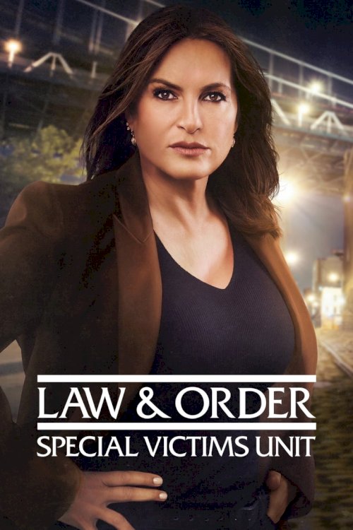 Закон и порядок. Специальный корпус - постер