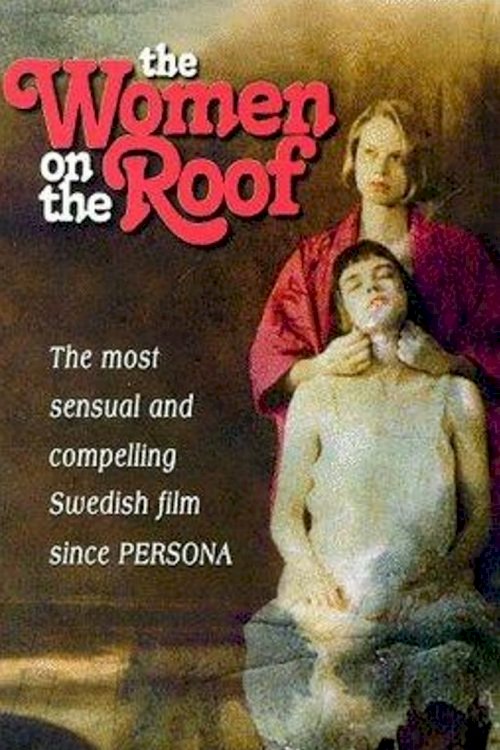 Женщины на крыше - постер