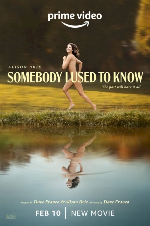 Somebody I Used to Know - poster