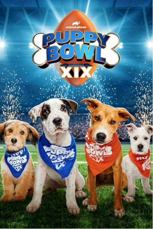 Puppy Bowl XIX - poster
