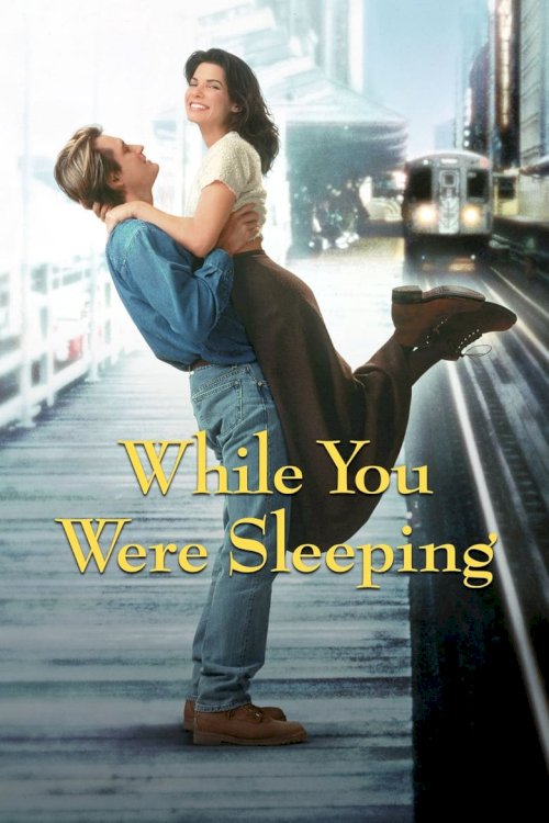 While You Were Sleeping - posters