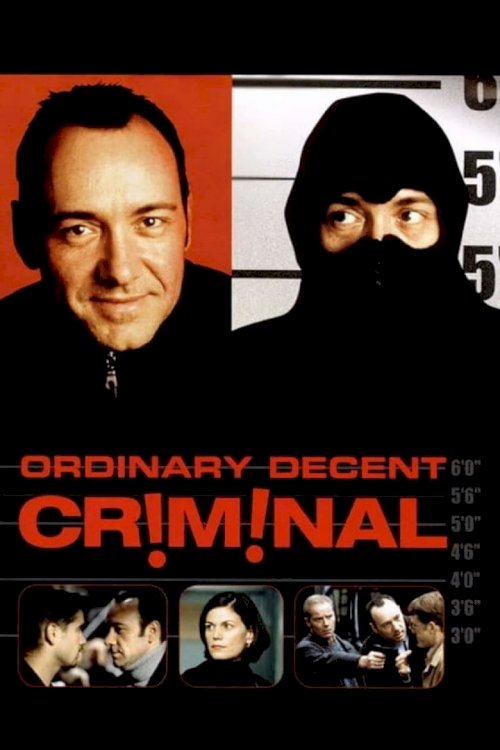 Ordinary Decent Criminal - poster