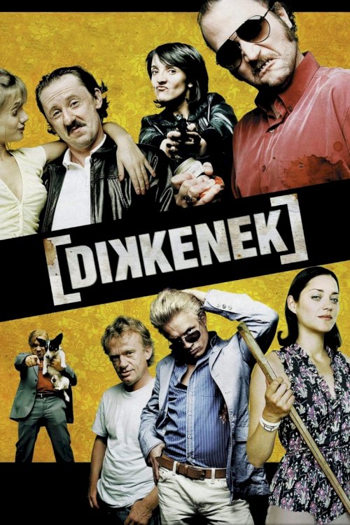 Dikkenek - posters