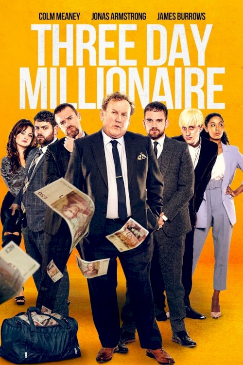Миллионер на три дня - постер