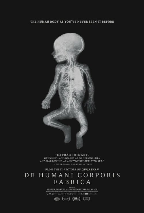 De Humani Corporis Fabrica - постер