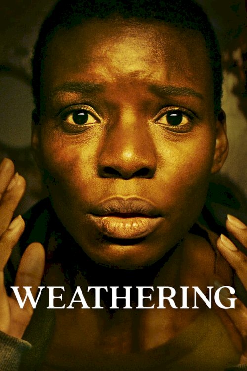 Weathering - poster