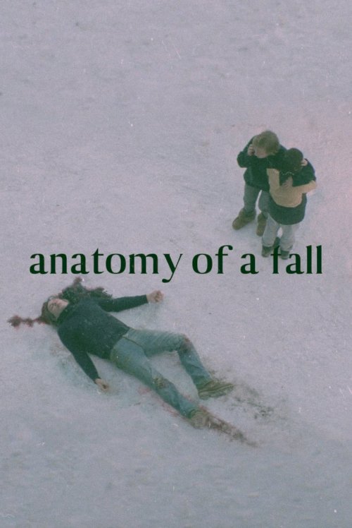 Anatomy of a Fall - poster