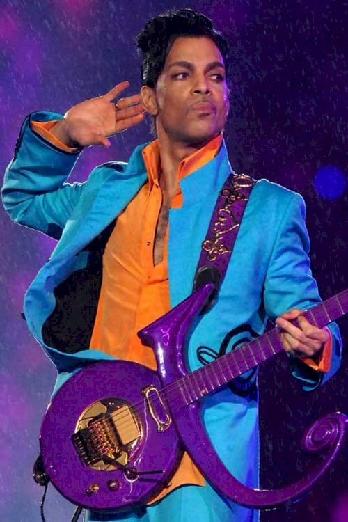 Prince: The Final Secret - постер