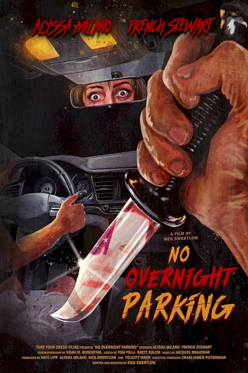 No Overnight Parking - poster