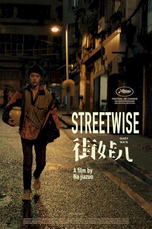 Streetwise - poster