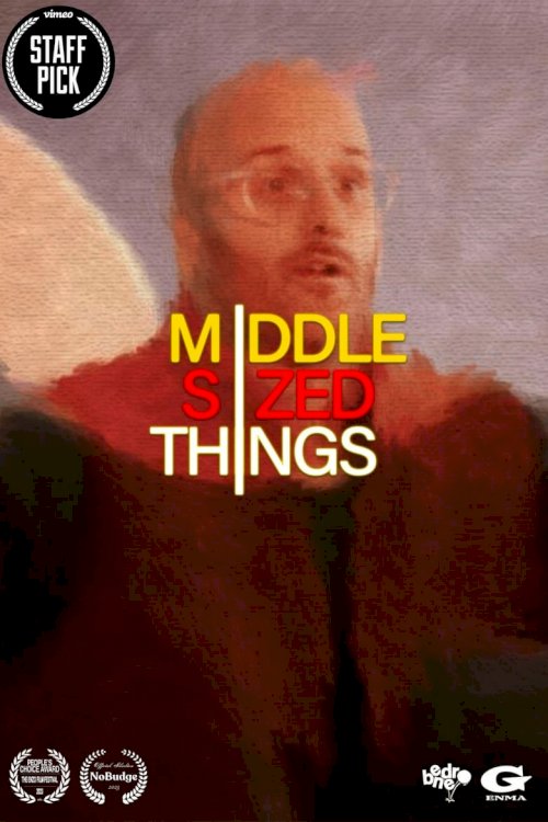 Middle Sized Things - poster