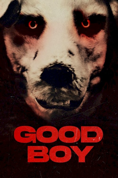 Good Boy - постер