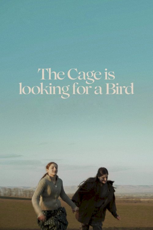The Cage is Looking for a Bird - poster