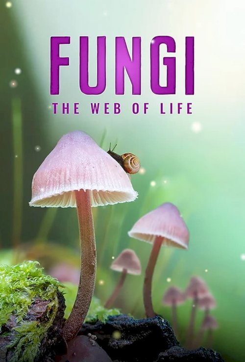 Fungi: Web of Life - постер