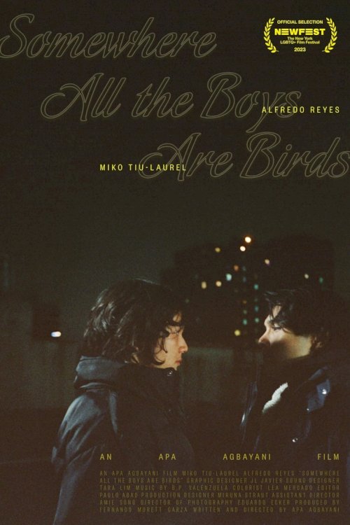 Somewhere all the boys are birds - poster
