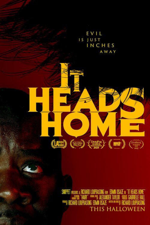 It Heads Home - poster