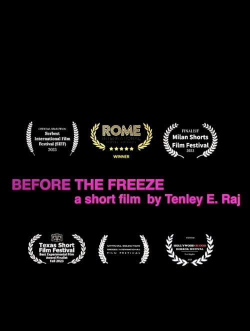 Before the Freeze - poster