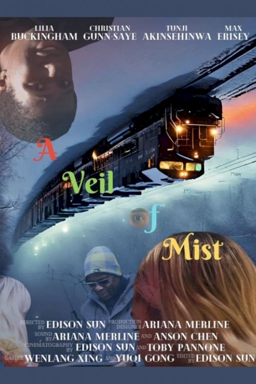 A Veil of Mist - poster