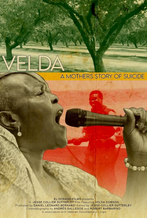 Velda: A Mom's Story of Suicide - posters