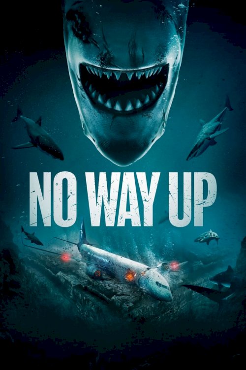 No Way Up - poster