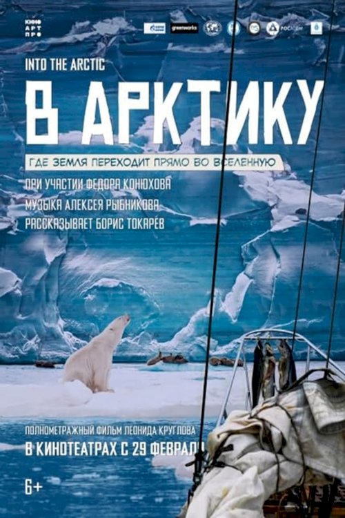 В Арктику - постер