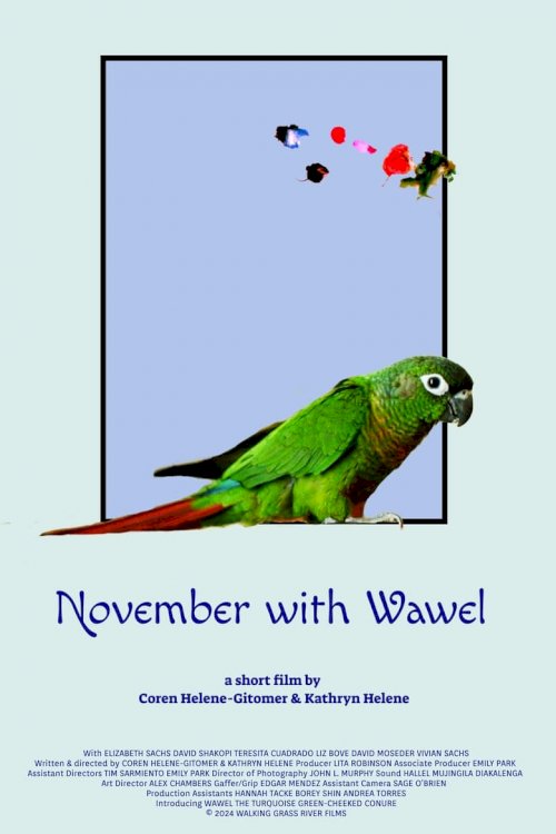 November with Wawel - poster