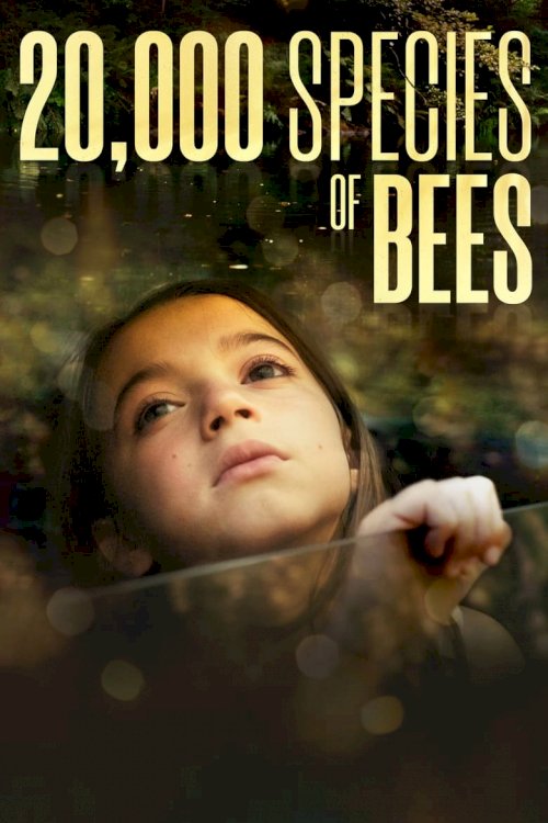 20,000 Species of Bees - poster