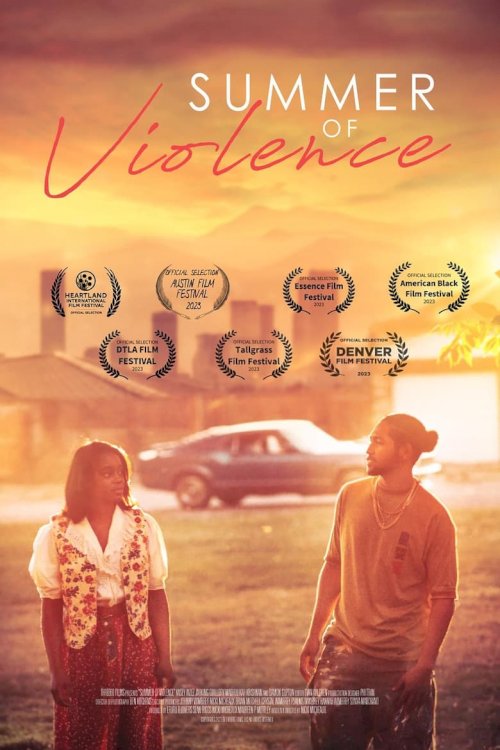 Summer of Violence - posters