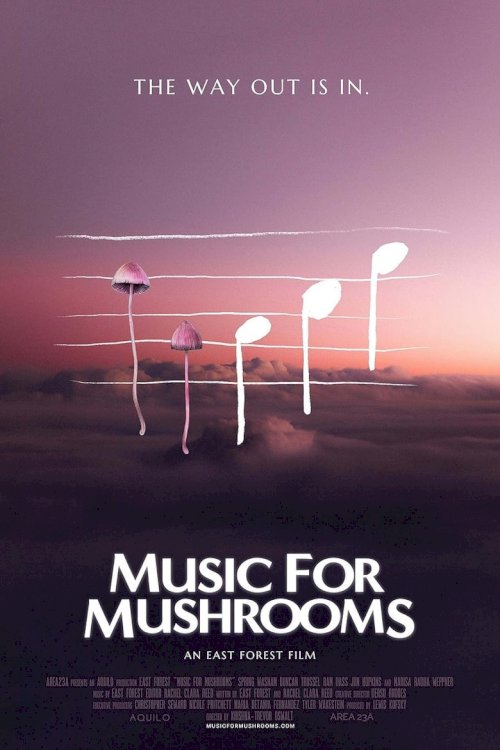 Music for Mushrooms - постер