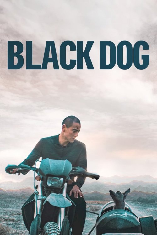 Black Dog - poster