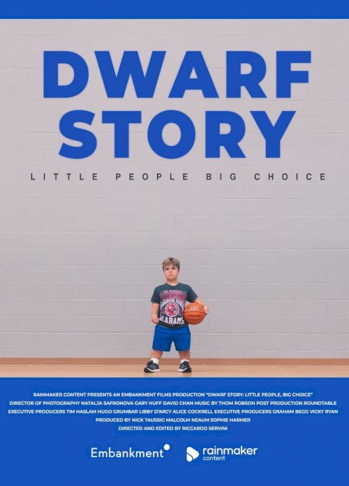 Dwarf Story: Little People, Big Choice - постер