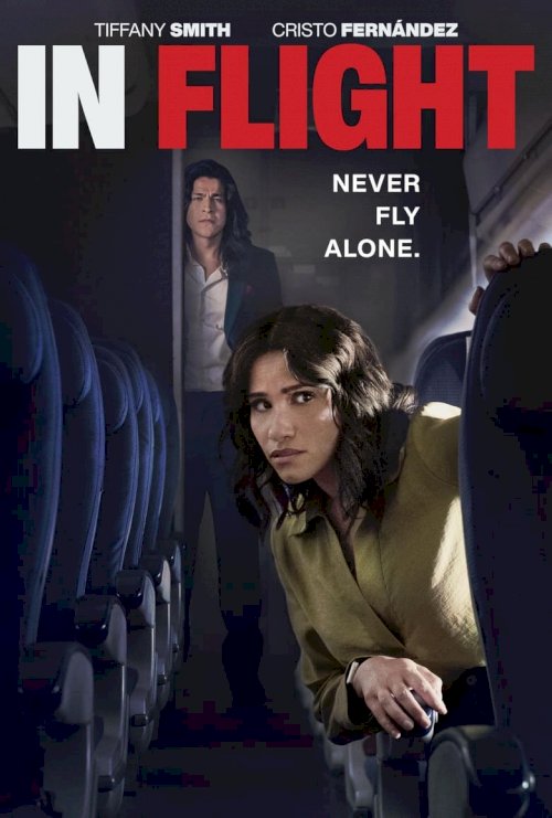 In Flight - posters