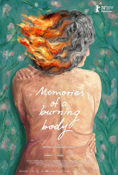 Memories of a Burning Body - постер