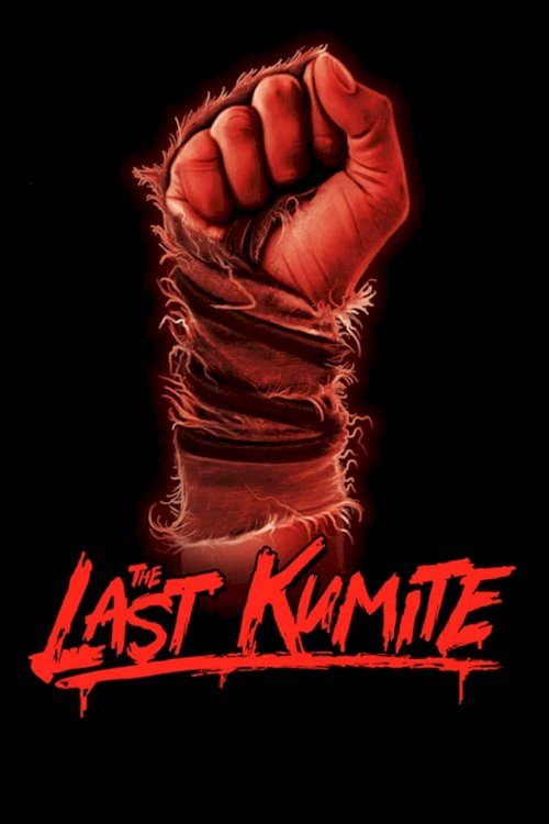 The Last Kumite - poster