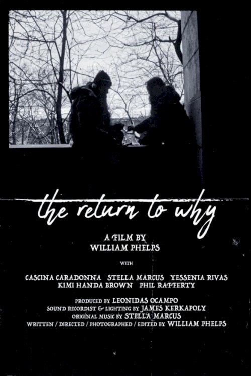 The Return to Why - posters