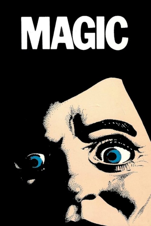 Magic - poster