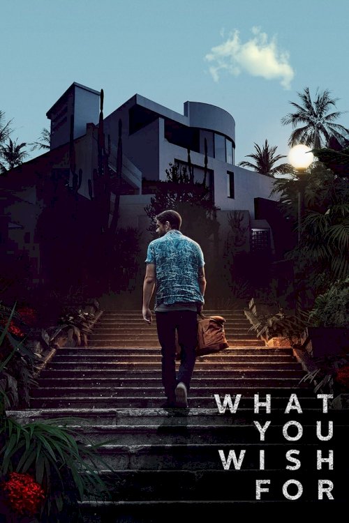 What You Wish For - poster