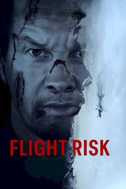 Flight Risk - poster