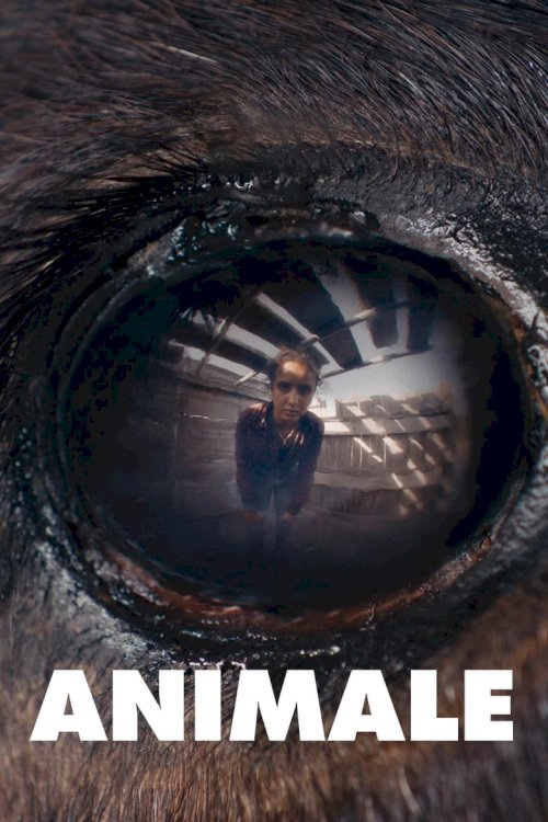 Animale - poster